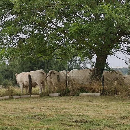 Tatil Evi La maison est dans le pré *